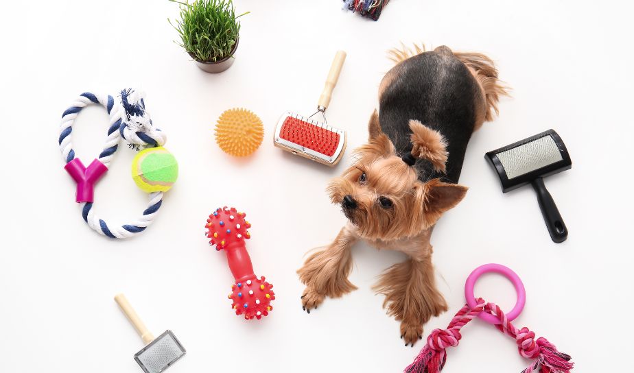 Pet Supplies & Apparels